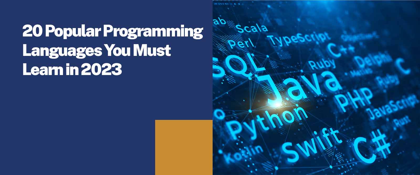 20 Most Popular Programming Languages to Learn in 2023 Sunstone Blog