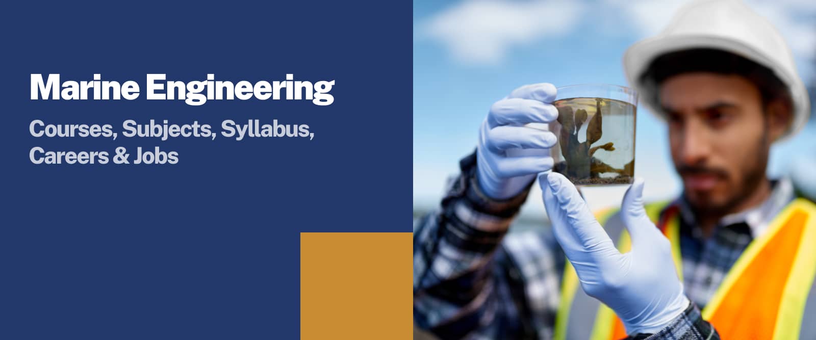 Marine Engineering Courses, Syllabus & Careers